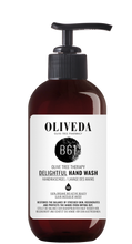 Load image into Gallery viewer, B61 Delightful Hand Wash